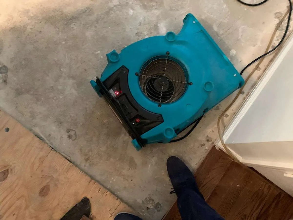 Air mover drying subfloor during Leak Detection & Repair in Stevensville